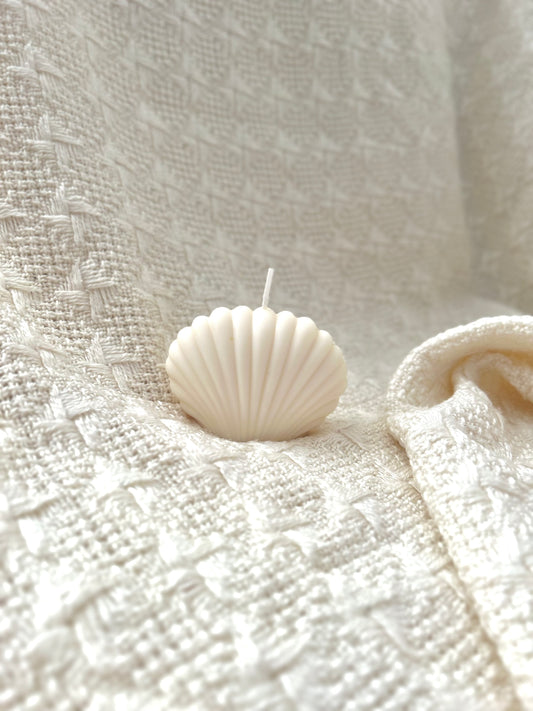 Coquillages
